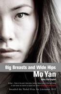 Big Breasts & Wide Hips