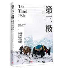 The Third Pole