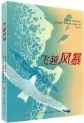 Fei Yue Feng Bao