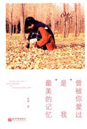 Ceng bei ni ai guo shi wo zuimei de jiyi