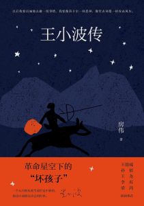 Wang Xiao Bo Zhuan