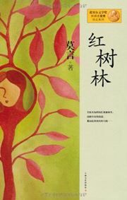 Hong shulin