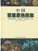 Zhongguo Xunjun Yuanse Tuji