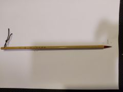 Chinese Calligraphy/Painting Brush - Small Red Hair (Mixed Hair)