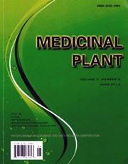 Medicinal Plant - Airmail