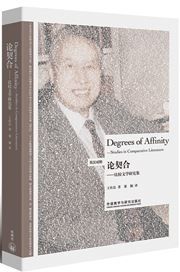 Degrees of Affinity—Studies in Comparative Literature (Bilingual)