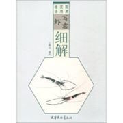 Guo Hua Shi Yong Ji Fa-Xie Yi Xia Xi Jie