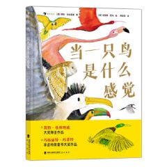 Dang Yi Zhi Niao Shi Shen Me Gan Jue