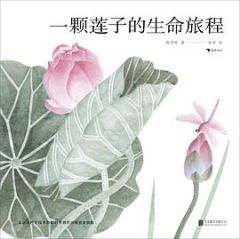 Renjian you lian: yike lianzi de shengming lvcheng 