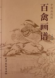 Zhongguo hua xianmiao: Baiqin huapu